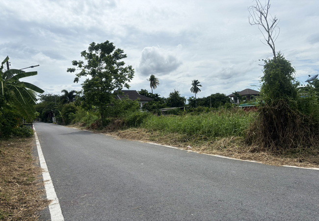 ขายที่ดิน ซอยสุขาภิบาล 10 สามพราน นครปฐม เนื้อที่ 89 ตร.ว. แปลงมุม