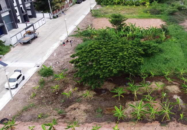 ขายที่ดิน ซอยเทพกุญชร 1 ตำบลคลองหนึ่ง อำเภอคลองหลวง ปทุมธานี เนื้อที่ 108 ตร.ว.