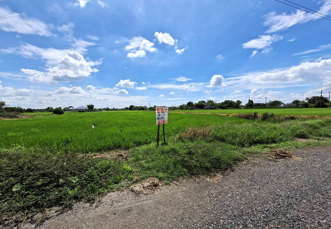 ขายที่ดิน คลอง 6 หนองเสือ ถนนเลียบคลองหก อำเภอคลองหลวง ปทุมธานี เนื้อที่ 2 ไร่