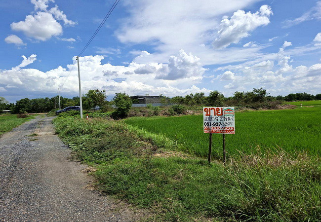 ขายที่ดิน คลอง 6 หนองเสือ ถนนเลียบคลองหก อำเภอคลองหลวง ปทุมธานี เนื้อที่ 2 ไร่