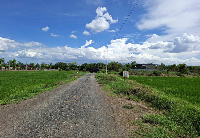ขายที่ดิน คลอง 6 หนองเสือ ถนนเลียบคลองหก อำเภอคลองหลวง ปทุมธานี เนื้อที่ 2 ไร่