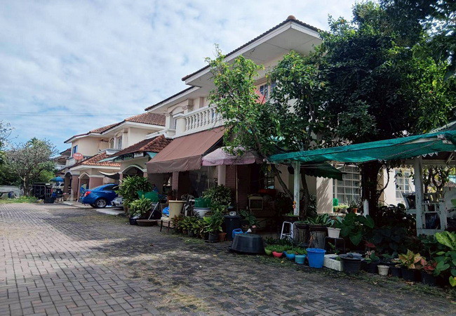 ขายบ้านเดี่ยว 2 หลัง หมู่บ้านพฤกษชาติ รามคำแหง 118 เนื้อที่ 309 ตร.ว. 2 ชั้น 10 นอน 8 น้ำ