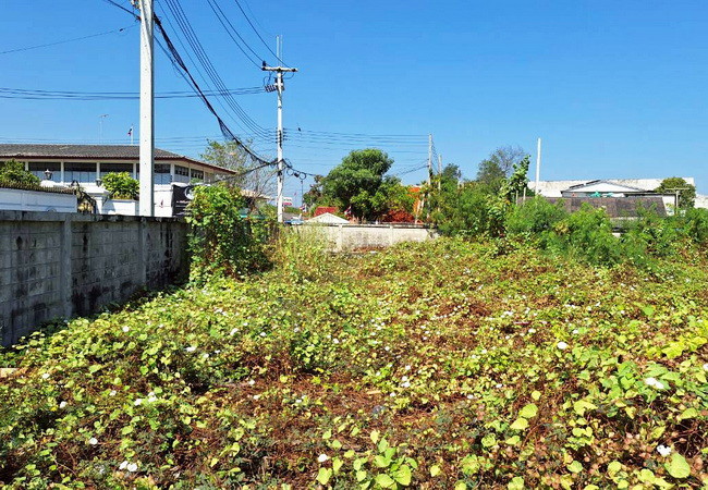 ขายที่ดิน ถนนบางเตย ซอย 4 อำเภอสามพราน นครปฐม เนื้อที่ 2 ไร่ ถมแล้ว