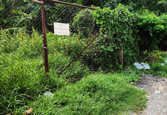 ขายที่ดิน ซอยพิบูลสงคราม 21 อำเภอเมือง นนทบุรี เนื้อที่ 774.2 ตร.ว. ถมแล้ว