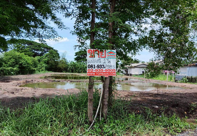 ขายที่ดิน ซอยมิตรไมตรี 14 ถนนมิตรไมตรี หนองจอก กรุงเทพ เนื้อที่ 1 ไร่ ถมแล้ว