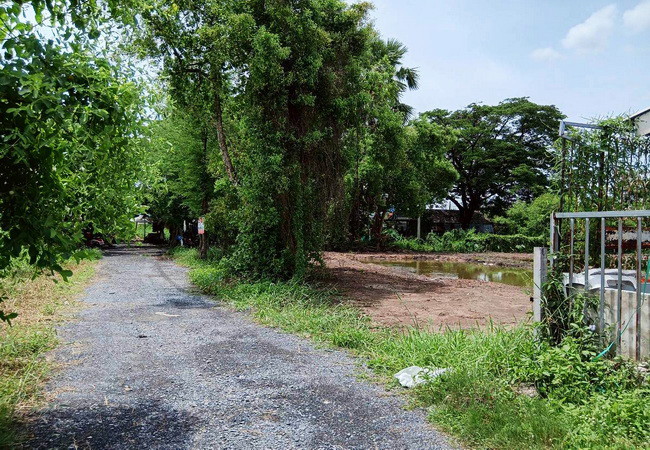 ขายที่ดิน ซอยมิตรไมตรี 14 ถนนมิตรไมตรี หนองจอก กรุงเทพ เนื้อที่ 1 ไร่ ถมแล้ว