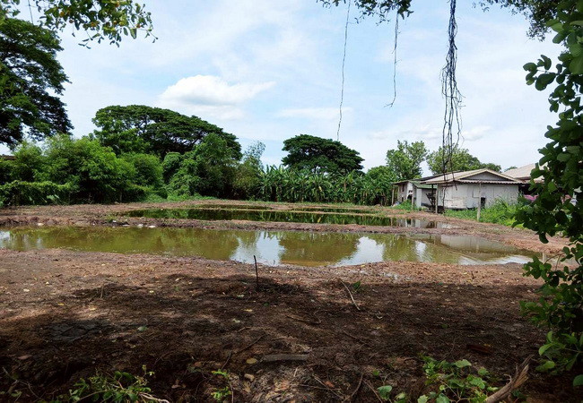 ขายที่ดิน ซอยมิตรไมตรี 14 ถนนมิตรไมตรี หนองจอก กรุงเทพ เนื้อที่ 1 ไร่ ถมแล้ว