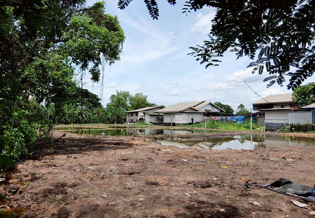 ขายที่ดิน ซอยมิตรไมตรี 14 ถนนมิตรไมตรี หนองจอก กรุงเทพ เนื้อที่ 1 ไร่ ถมแล้ว