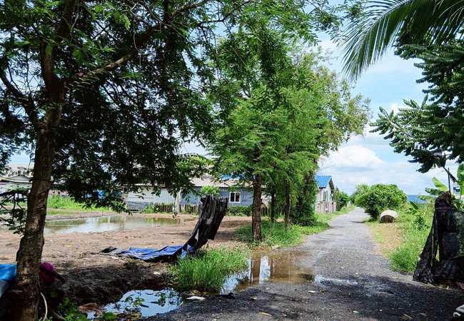 ขายที่ดิน ซอยมิตรไมตรี 14 ถนนมิตรไมตรี หนองจอก กรุงเทพ เนื้อที่ 1 ไร่ ถมแล้ว