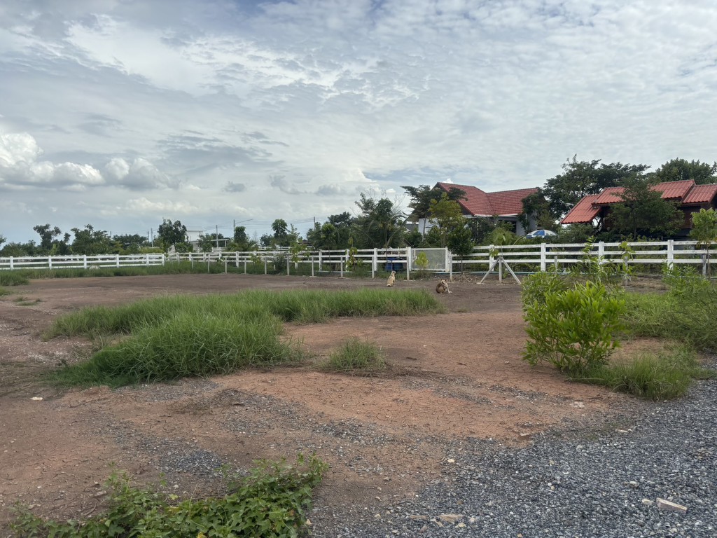 ขายที่ดินจัดสรร คลอง 13 ถนนเลียบคลอง 33 ตำบลศาลาครุ อำเภอหนองเสือ ปทุมธานี