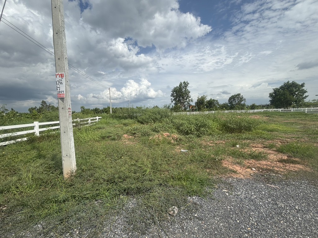 ขายที่ดินจัดสรร คลอง 13 ถนนเลียบคลอง 33 ตำบลศาลาครุ อำเภอหนองเสือ ปทุมธานี