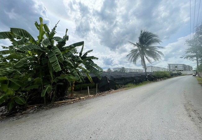 ขายที่ดิน ซอยโรมัน ตำบลสามพราน อำเภอสามพราน นครปฐม เนื้อที่ 8 ไร่