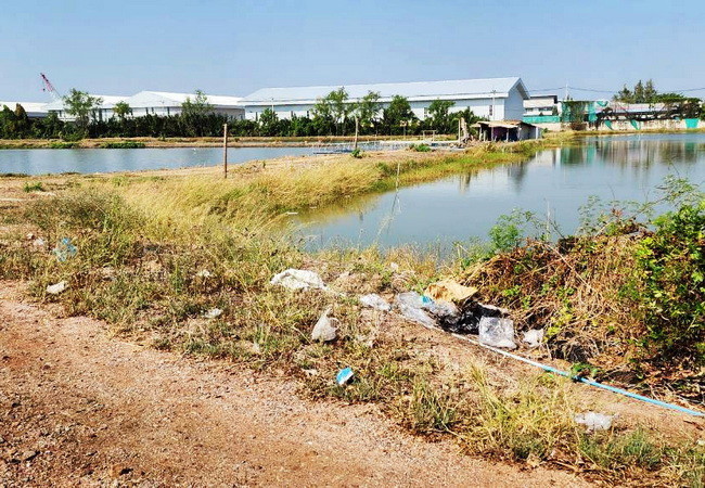 ขายที่ดิน ดอนหอยหลอด ตำบลบางจะเกร็ง อำเภอเมือง สมุทรสงคราม