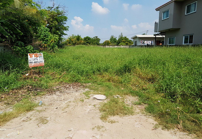 ขายที่ดิน 130 ตร.ว. ซอยเลียบคลองนายหลีก ใกล้วัดลาดปลาดุก อำเภอบางบัวทอง นนทบุรี