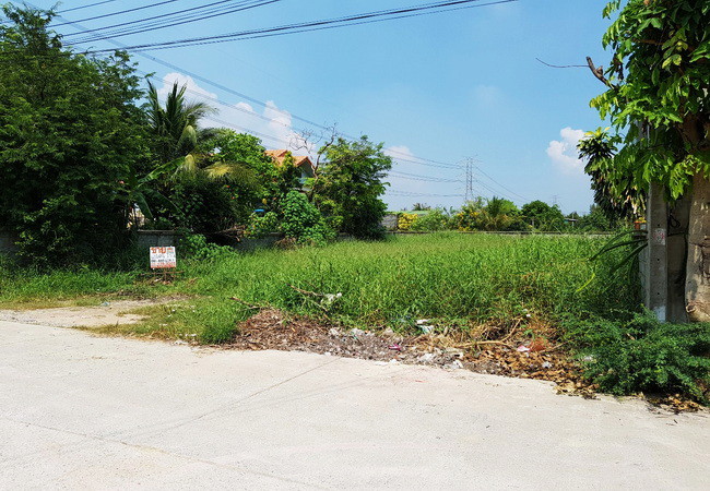 ขายที่ดิน 130 ตร.ว. ซอยเลียบคลองนายหลีก ใกล้วัดลาดปลาดุก อำเภอบางบัวทอง นนทบุรี