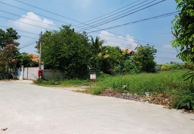 ขายที่ดิน 130 ตร.ว. ซอยเลียบคลองนายหลีก ใกล้วัดลาดปลาดุก อำเภอบางบัวทอง นนทบุรี