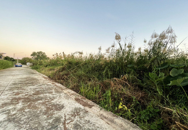 ขายที่ดิน 70 ตร.ว. ซอยโคกช้าง ถนนพิษณุโลก-วังทอง ตำบลอรัญญิก อำเภอเมือง พิษณุโลก