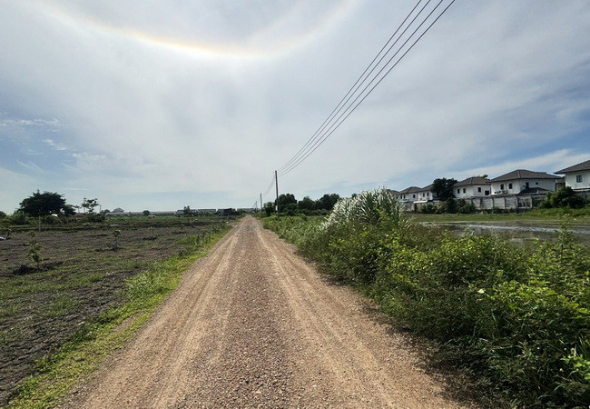 ขายที่ดิน 880.8 ตร.ว. ซอยสาลี่อินจัน ถนนลำลูกกา ตำบลลาดสวาย อำเภอลำลูกกา ปทุมธานี
