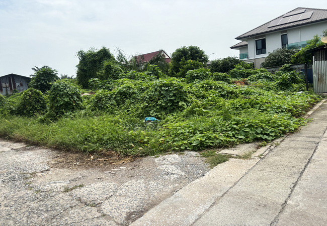 ขายที่ดิน 226 ตร.ว. ถนนพุทธมณฑลสาย 2 ซอย 6 เขตบางแค กรุงเทพมหานคร