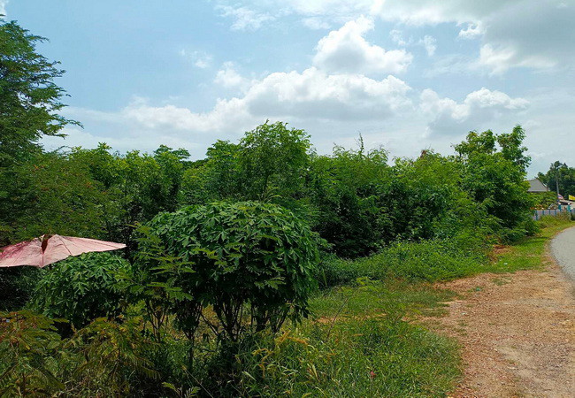 ขายที่ดิน 4-3-91.7 ไร่ ใกล้โรงพยาบาลดอนตูม ตำบลลำเหย อำเภอดอนตูม นครปฐม