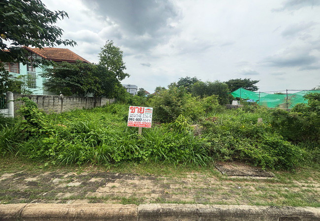 ขายที่ดิน 136 ตร.ว. หมู่บ้านศุภาลัยบุรี คลอง 4 คลองหลวง ปทุมธานี