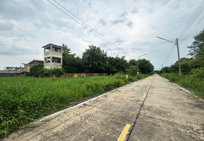 ขายที่ดิน 579 ตร.ว. คลอง 6/1 ซอยชุมชนสุสวาส ธัญบุรี ปทุมธานี