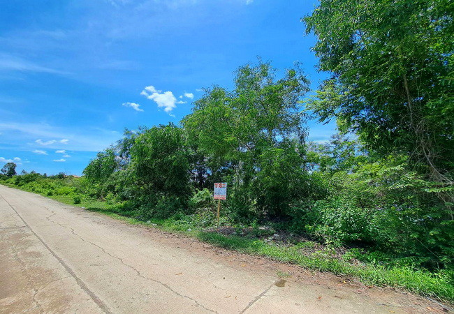 ขายที่ดิน 1 ไร่ คลอง 2 ซอยบงกช 26/1 ถนนรังสิต-นครนายก คลองหลวง ปทุมธานี