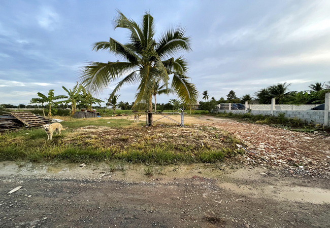 ขายที่ดิน 100 ตร.ว. ซอยไร่ขิง 32(ซอยบางซื่อ) ถนนเพชรเกษม อำเภอสามพราน นครปฐม