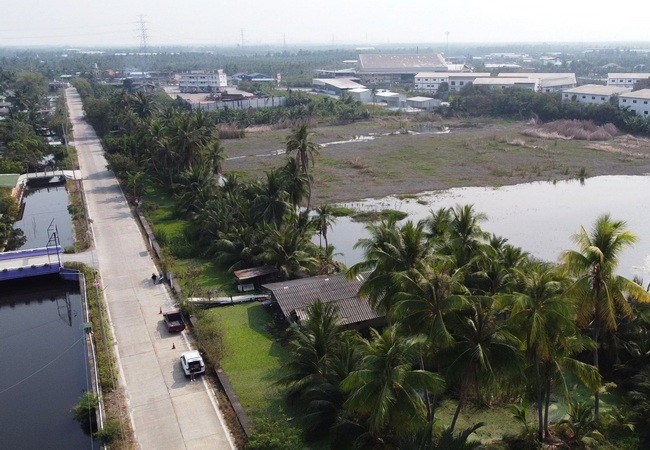 ขายที่ดิน 20 ไร่ ถนนบ้านแพ้ว ตำบลหลักสาม อำเภอบ้านแพ้ว สมุทรสาคร