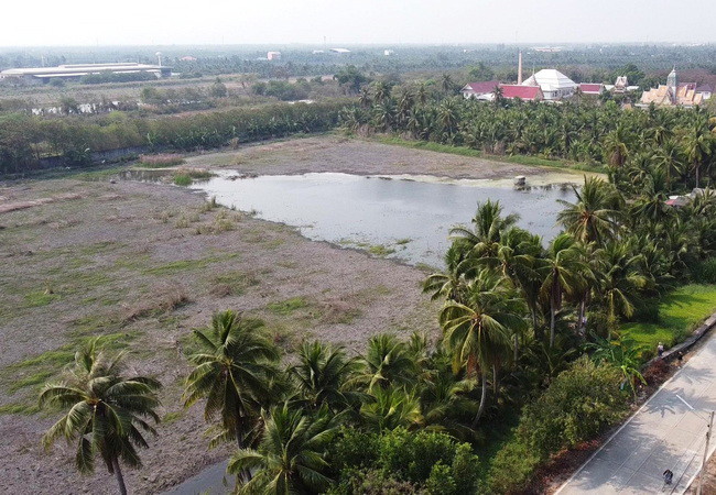 ขายที่ดิน 20 ไร่ ถนนบ้านแพ้ว ตำบลหลักสาม อำเภอบ้านแพ้ว สมุทรสาคร