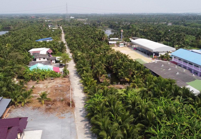 ขายที่ดิน 20 ไร่ ถนนบ้านแพ้ว ตำบลหลักสาม อำเภอบ้านแพ้ว สมุทรสาคร