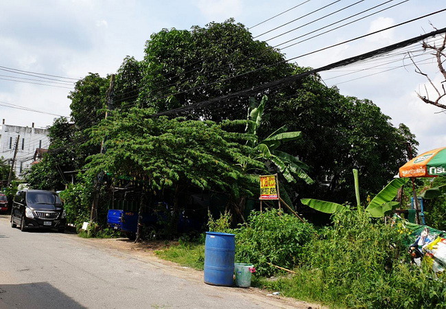 ขายที่ดิน 58 ตร.ว. หมู่บ้านคลองกุ่มนิเวศน์ ซอยเสรีไทย 41 บึงกุ่ม กรุงเทพมหานคร