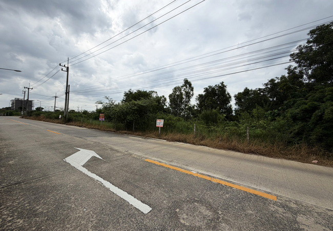 ขายที่ดิน 1 ไร่ ลำลูกกา คลอง 6 ถนนลำลูกกา ปทุมธานี