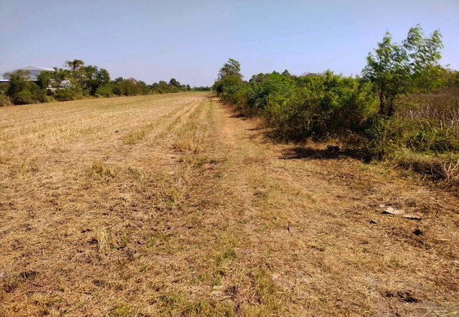 ขายที่ดิน 1 ไร่ ซอยคลองสาม 11/21 คลองแอน คลองหลวง ปทุมธานี