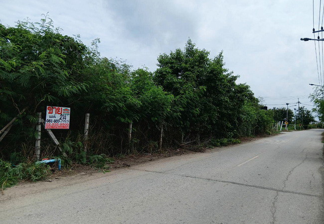 ขายที่ดิน 214 ตร.ว. หน้าม.เกษตรกําแพงแสน ถนนมาลัยแมน อำเภอกําแพงแสน นครปฐม