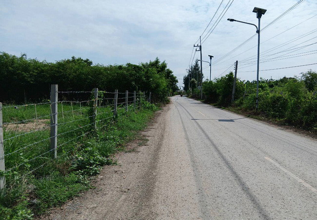 ขายที่ดิน 214 ตร.ว. หน้าม.เกษตรกําแพงแสน ถนนมาลัยแมน อำเภอกําแพงแสน นครปฐม
