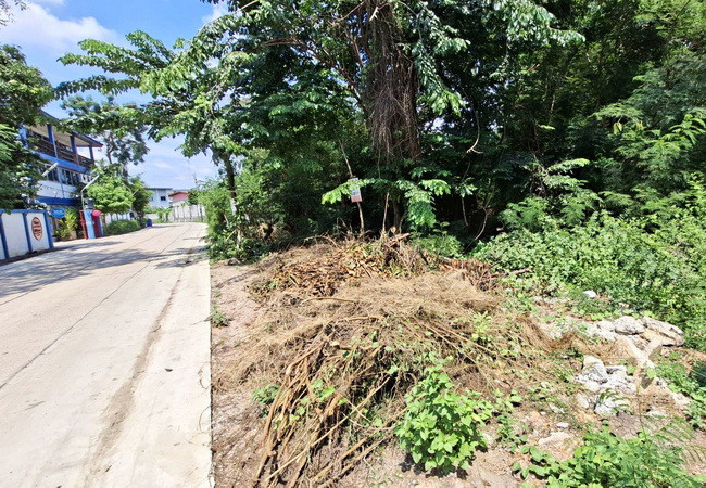 ขายที่ดิน 140 ตร.ว. ซอยทหารเรือ ถนนพุทธมณฑลสาย 4 อ้อมน้อย กระทุ่มแบน สมุทรสาคร