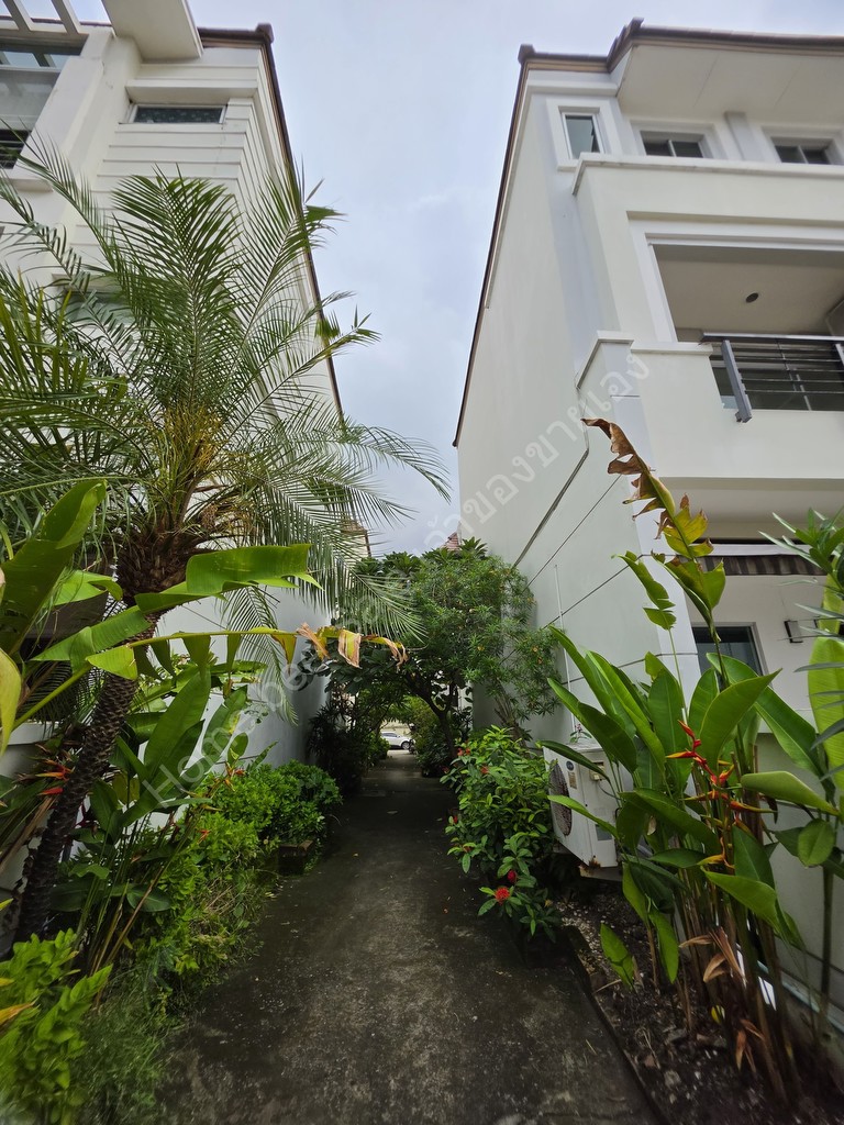 🏡 รีโนเวทใหม่ พร้อมอยู่  โครงการบ้านกลางเมือง The Royal Monaco ศรีนครินทร์–พัฒนาการ