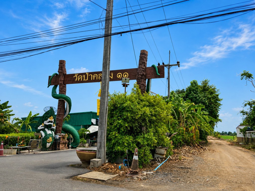 🚩ขายที่ดิน 1 ไร่ ซอยร่มเย็น ใกล้วัดป่าคลอง 11 หนองเสือ ปทุมธานี