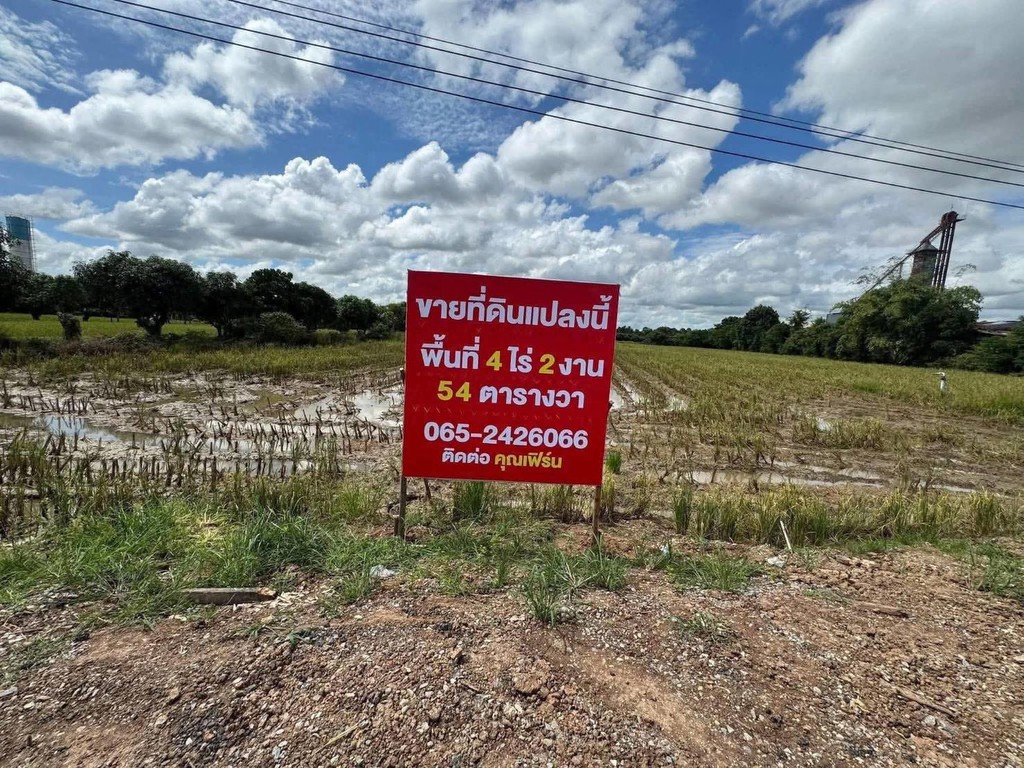 ขายถูกมาก!! ที่ดิน 4 ไร่ 2 งาน 54 ตร.ว. ติดถนนใหญ่ ตรงข้ามปั๊มน้ำมัน ปตท.หนองตม อ.พรหมพิราม จ.พิษณุโ