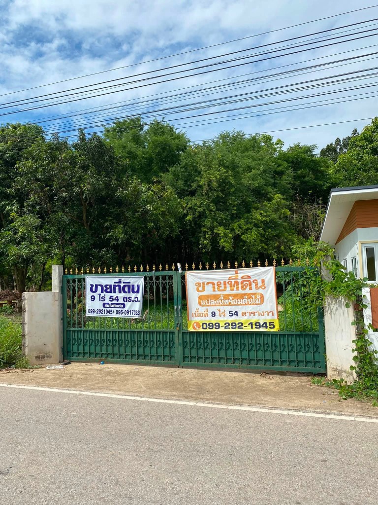 ขายถูมาก!! ที่ดิน 9ไร่กว่า ติดถนน วิวภูเขา บรรยากาศดี ทำเลทอง อ.วังทอง จ.พิษณุโลก ใกล้ตลาดวังทอง 2 ก