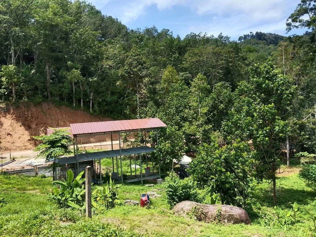 ขายถูกมาก ผ่อนตรงได้!! ที่ดินวิวภูเขา มีให้เลือกหลายแปลง 70 - 610 ตรว. อ.ท้ายเหมือง พังงา ใกล้ทะเล น