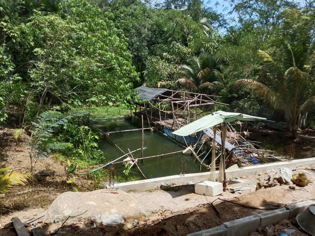 ขายถูกมาก ผ่อนตรงได้!! ที่ดินวิวภูเขา มีให้เลือกหลายแปลง 70 - 610 ตรว. อ.ท้ายเหมือง พังงา ใกล้ทะเล น