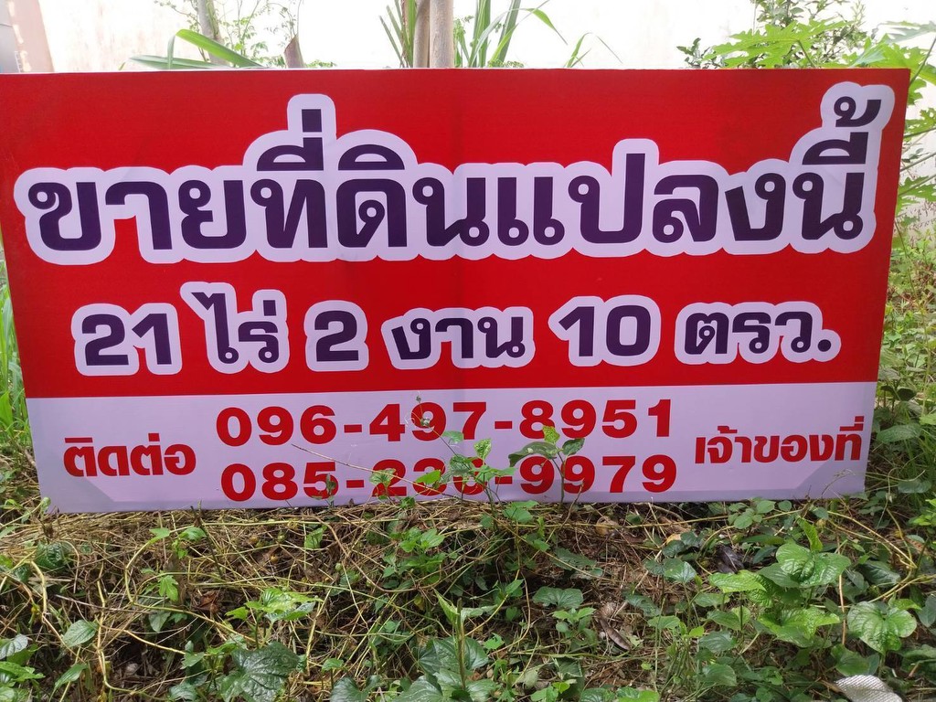 ขายหรือให้เช่าถูกมาก!! ที่ดิน 21-2-10 ไร่ วิวเขาสวย ติดถนน พร้อมสวนทุเรียน ลำไย อ.สอยดาว จ.จันทบุรี