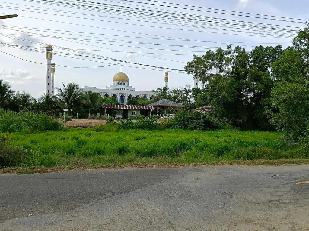 ขายถูกมาก!! ที่ดิน 45 ตร.ว. 2 แปลงติดกัน ติดถนน ทำเลทอง ต.คลองแห อ.หาดใหญ่ จ.สงขลา ใกล้ตลาดน้ำ บิ๊กซ
