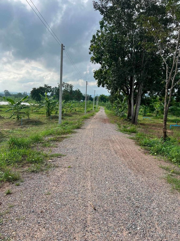 ขายถูกมาก!! ที่ดินการเกษตร 112 ไร่ วิวภูเขา ติดคลอง มีบ่อน้ำ พร้อมระบบน้ำเปิด 2,000 หัว ทำเลดีมาก อ.