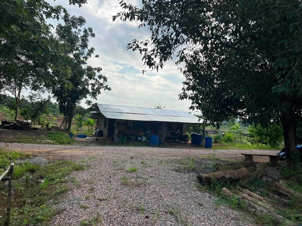 ขายถูกมาก!! ที่ดินการเกษตร 112 ไร่ วิวภูเขา ติดคลอง มีบ่อน้ำ พร้อมระบบน้ำเปิด 2,000 หัว ทำเลดีมาก อ.
