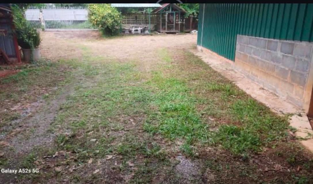 ขายถูกมาก!! ที่ดิน 477 ตร.ว. ติดถนน 2 ด้าน อ.เมือง จ.ตรัง ซอยตรงข้ามศาลากลางจังหวัดตรัง ใกล้โรบินสัน