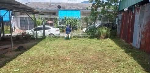 ขายถูกมาก!! ที่ดิน 477 ตร.ว. ติดถนน 2 ด้าน อ.เมือง จ.ตรัง ซอยตรงข้ามศาลากลางจังหวัดตรัง ใกล้โรบินสัน