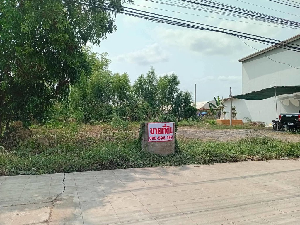 ขายถูกมาก!! ที่ดิน 3 แปลง 56 57 79 ตร.ว. ติดถนน 4 เลน ทำเลทอง อ.ไพรบึง จ.ศรีสะเกษ ใกล้ตลาด โรงพยาบาล